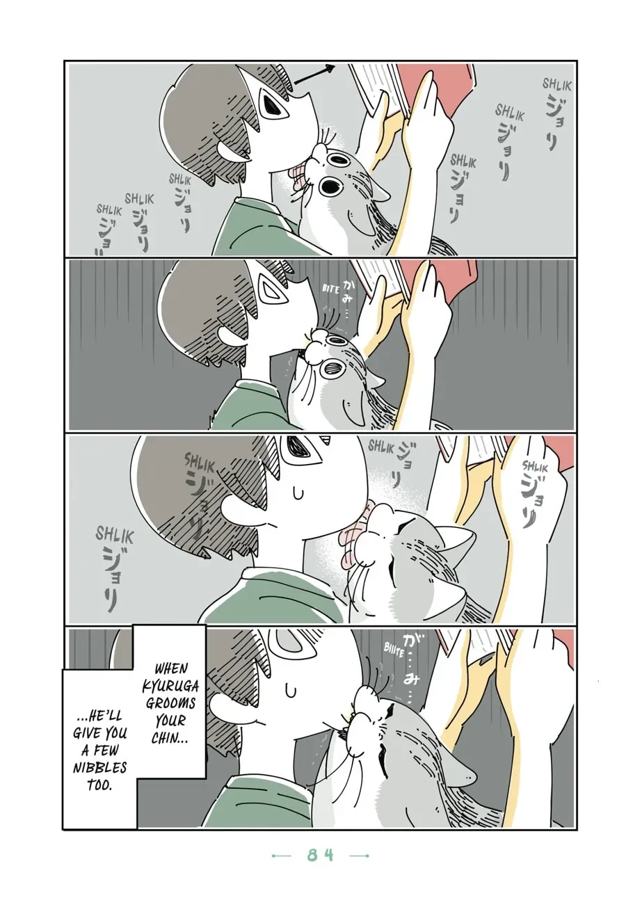 Read Nights With a Cat chapter 88 image 1 on Lezhin
