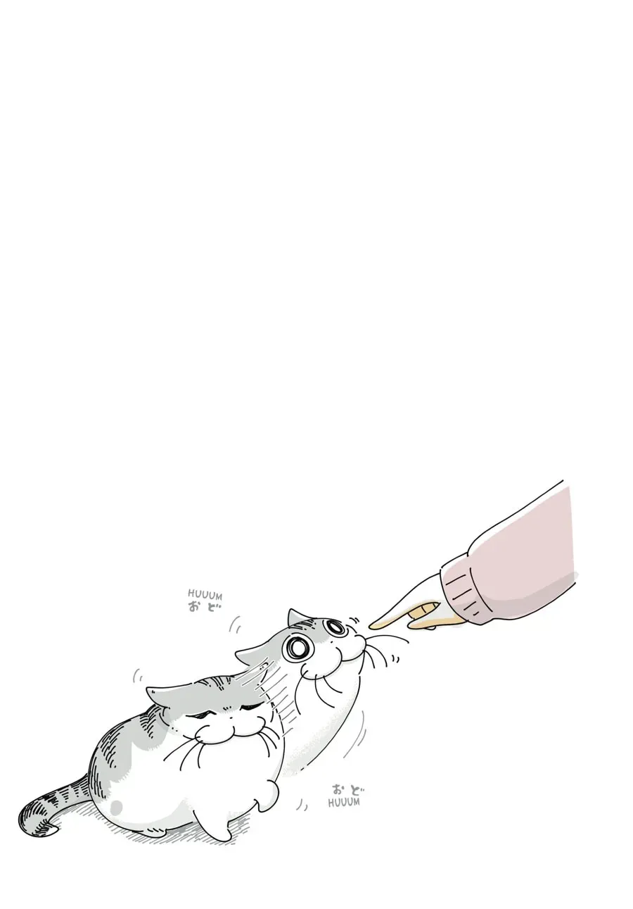 Read Nights With a Cat chapter 88 image 2 on Lezhin