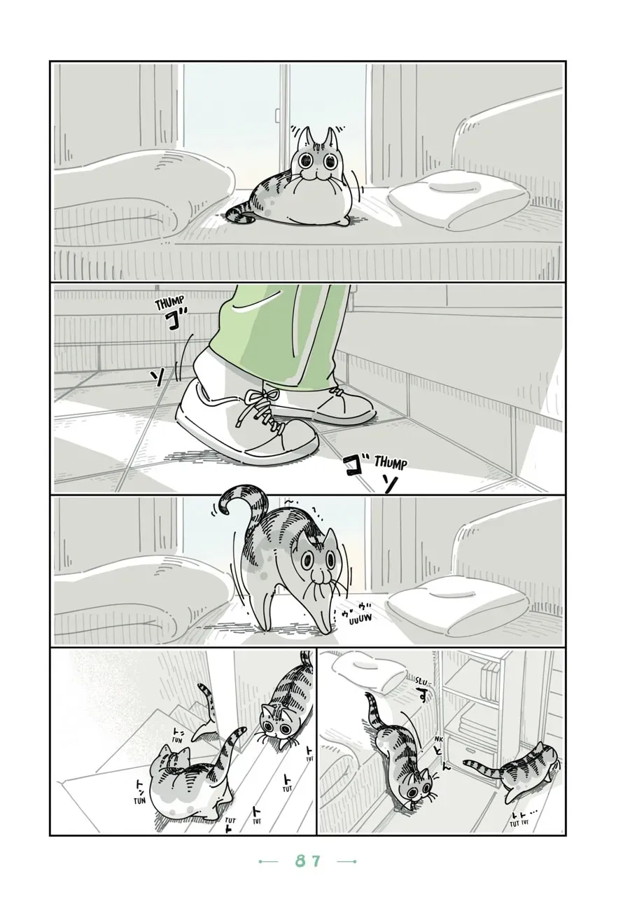 Read Nights With a Cat chapter 89 image 1 on Lezhin