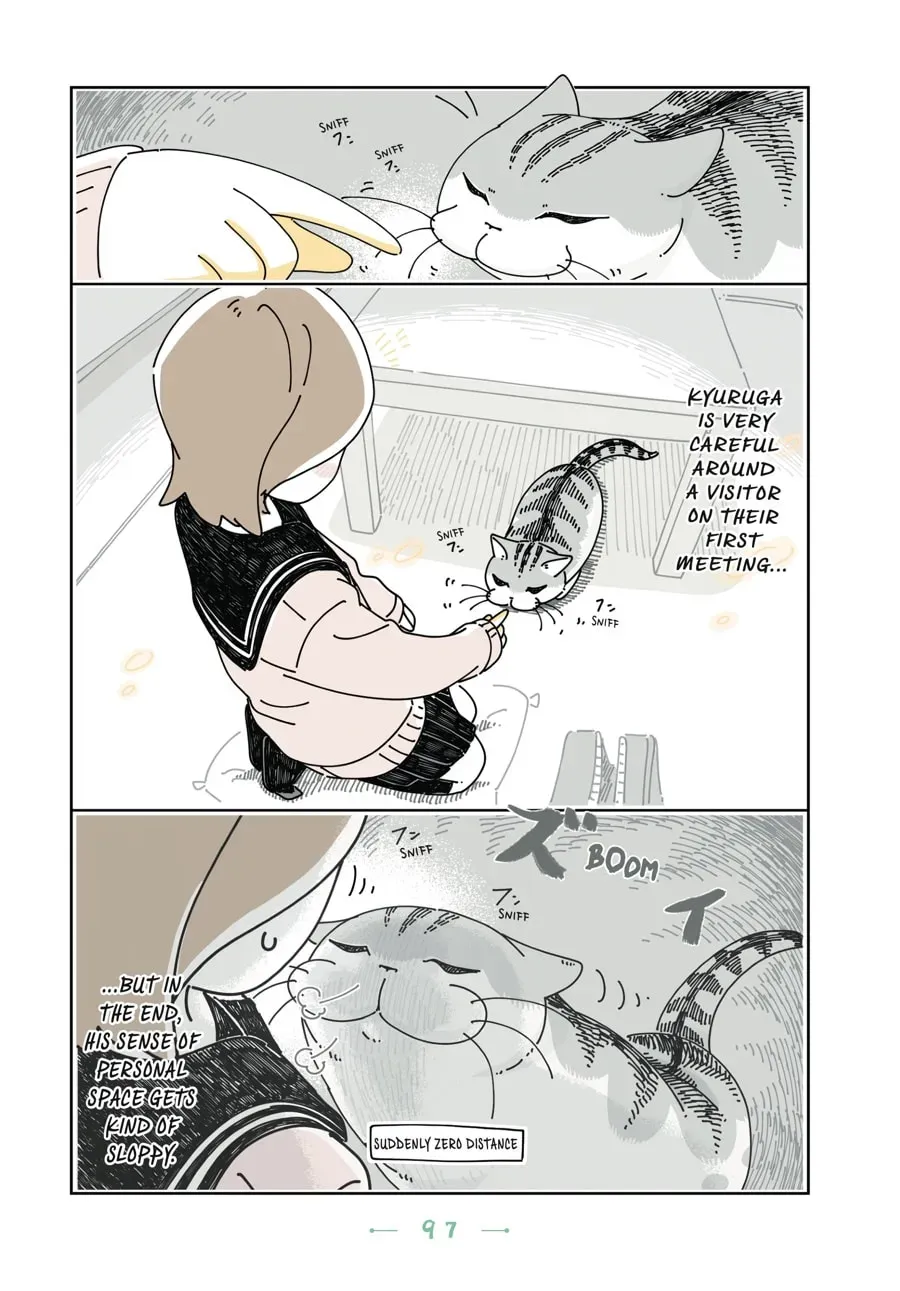 Read Nights With a Cat chapter 89 image 11 on Lezhin