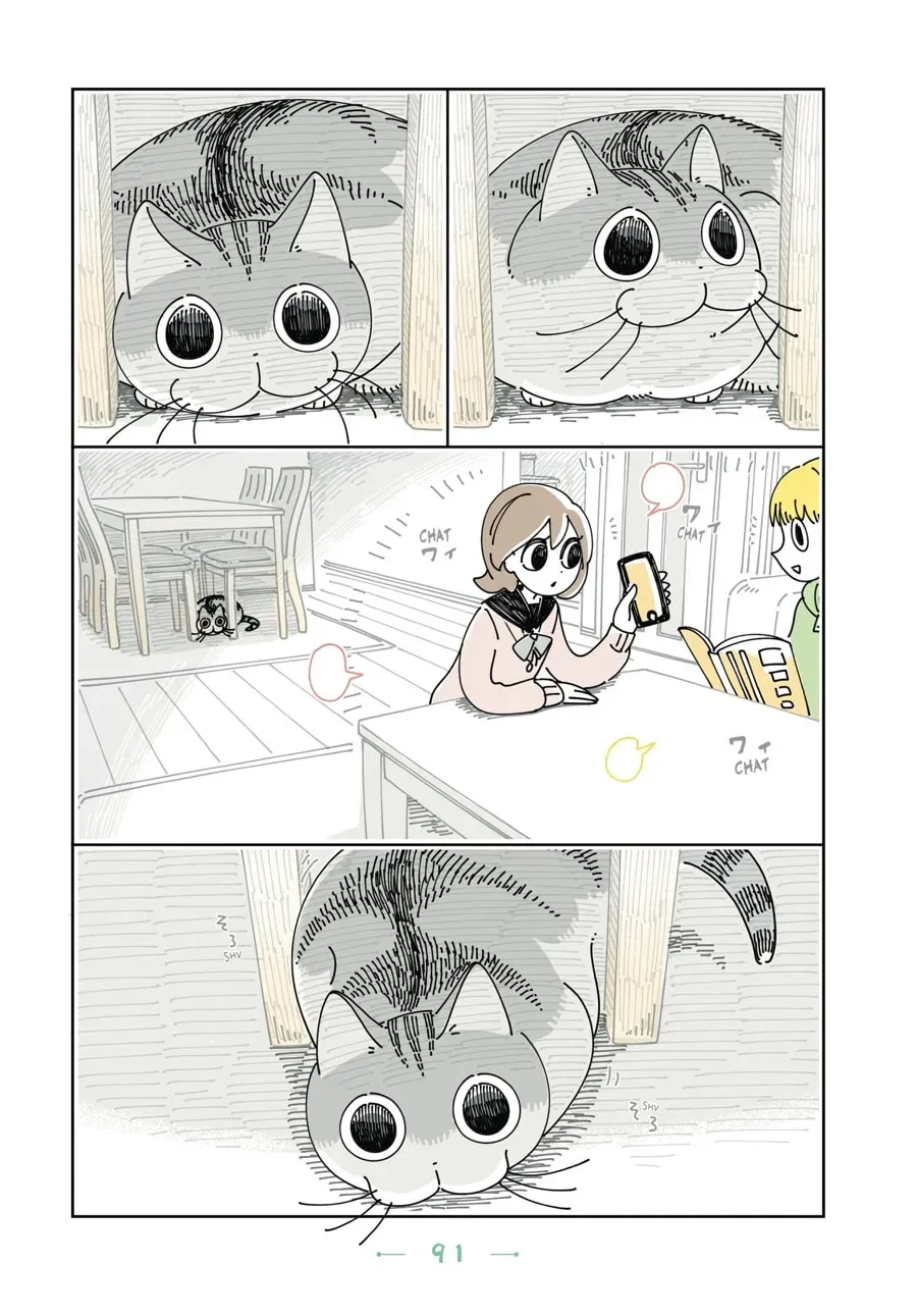 Read Nights With a Cat chapter 89 image 5 on Lezhin