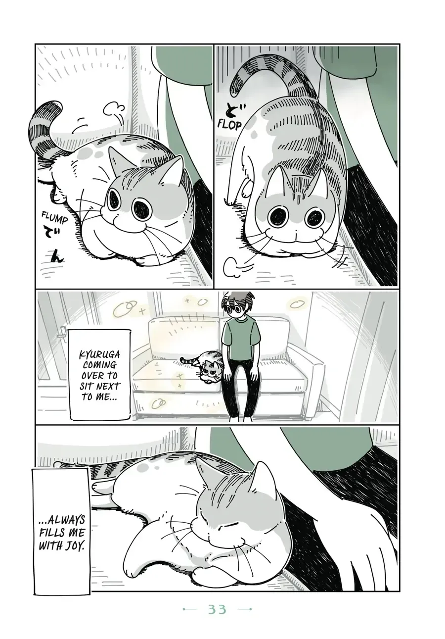 Read Nights With a Cat chapter 9.1 image 1 on Lezhin