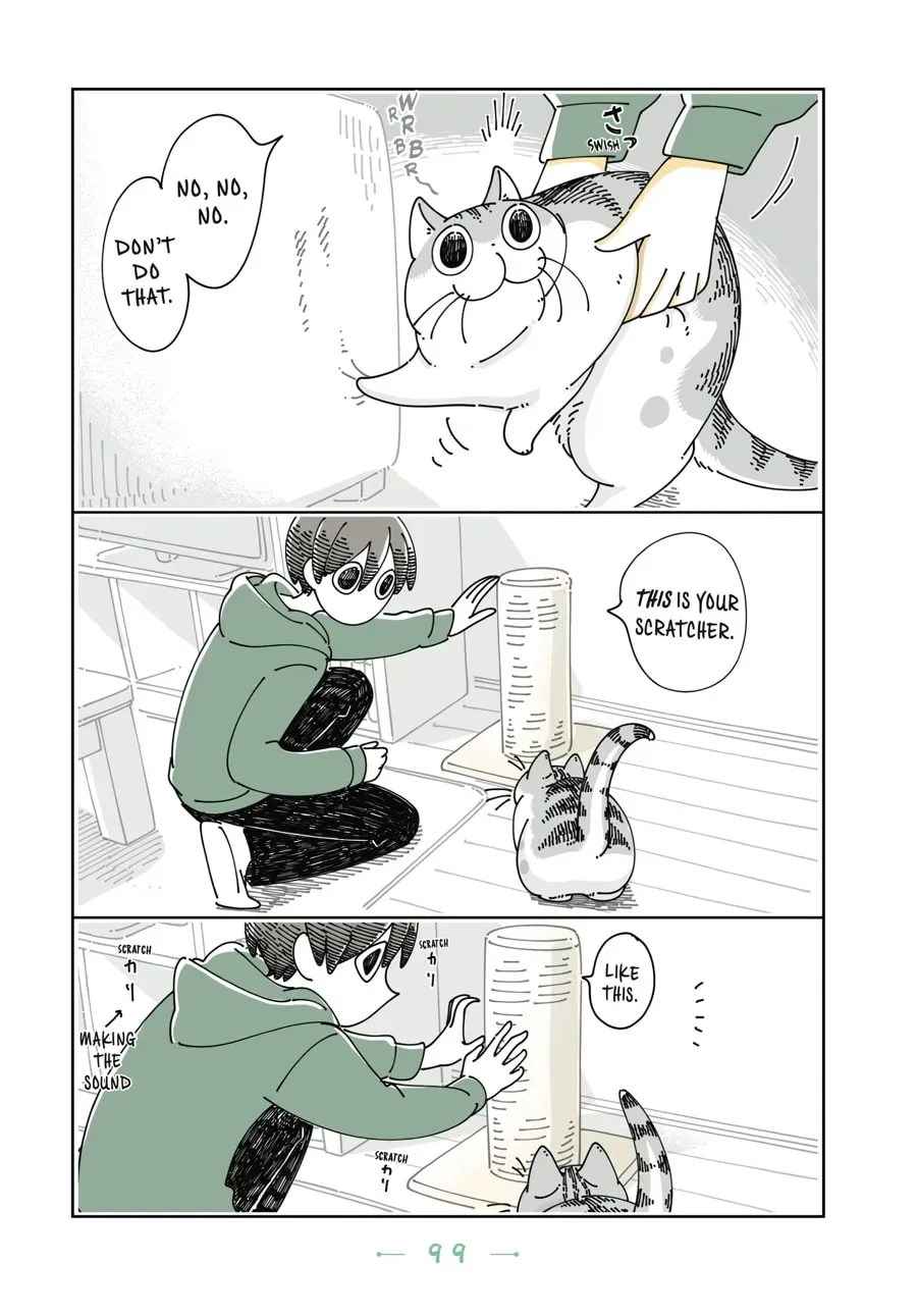 Read Nights With a Cat chapter 90 image 1 on Lezhin