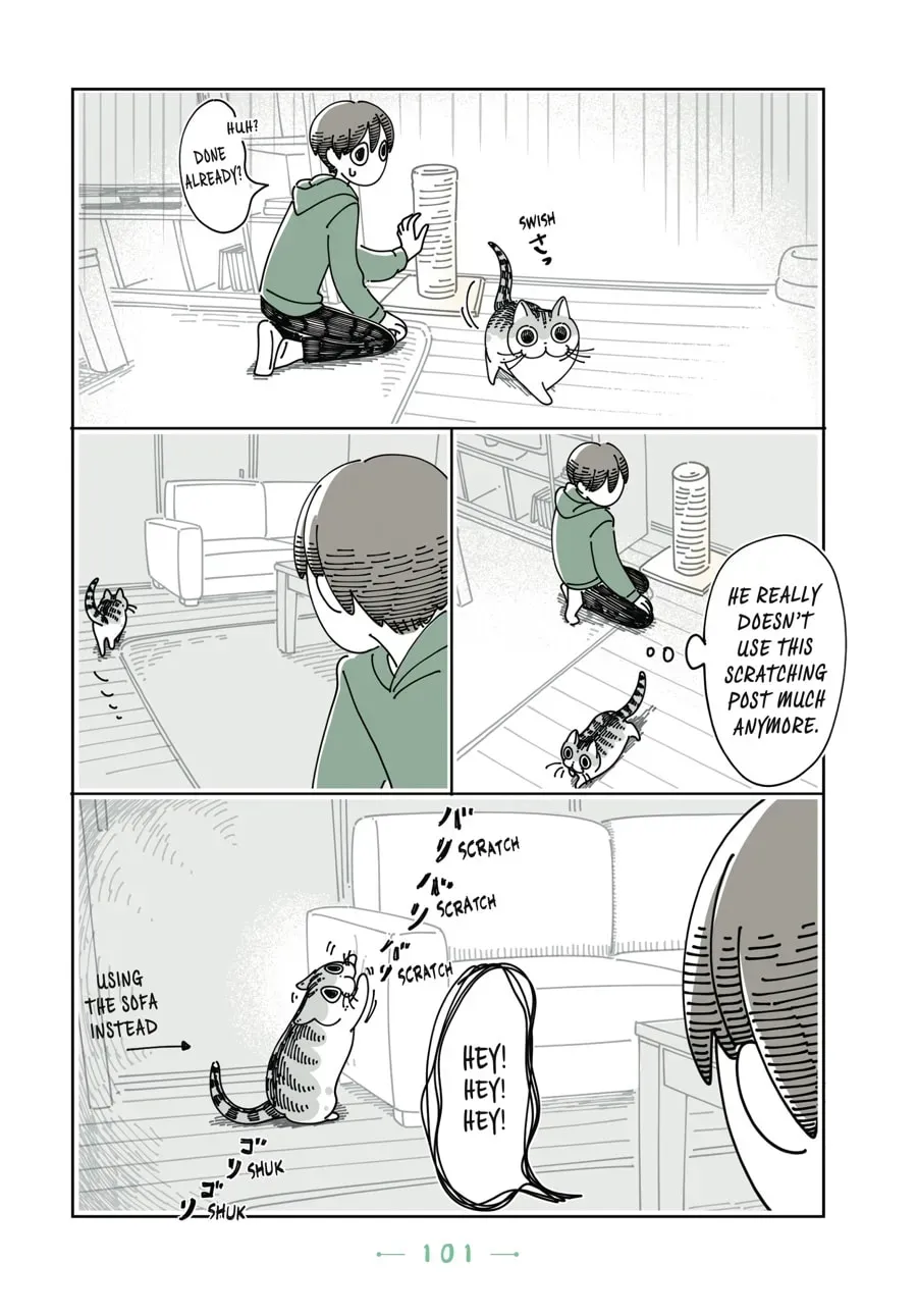 Read Nights With a Cat chapter 90 image 3 on Lezhin
