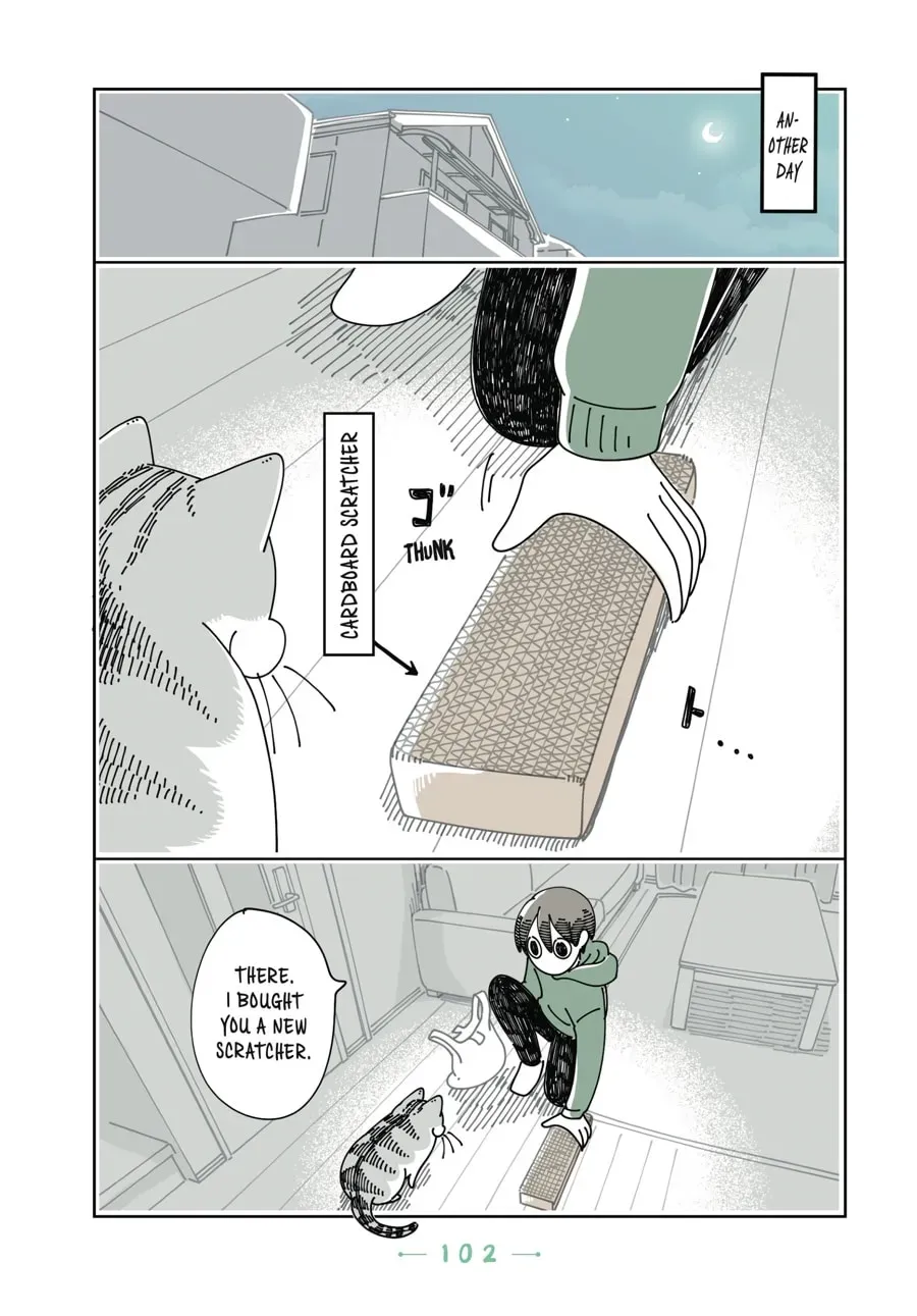 Read Nights With a Cat chapter 90 image 4 on Lezhin