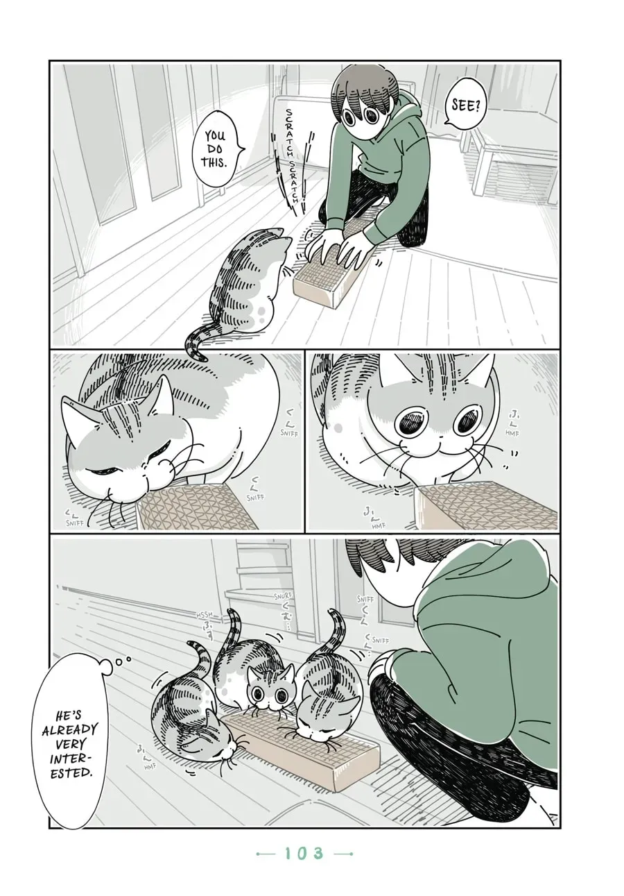 Read Nights With a Cat chapter 90 image 5 on Lezhin