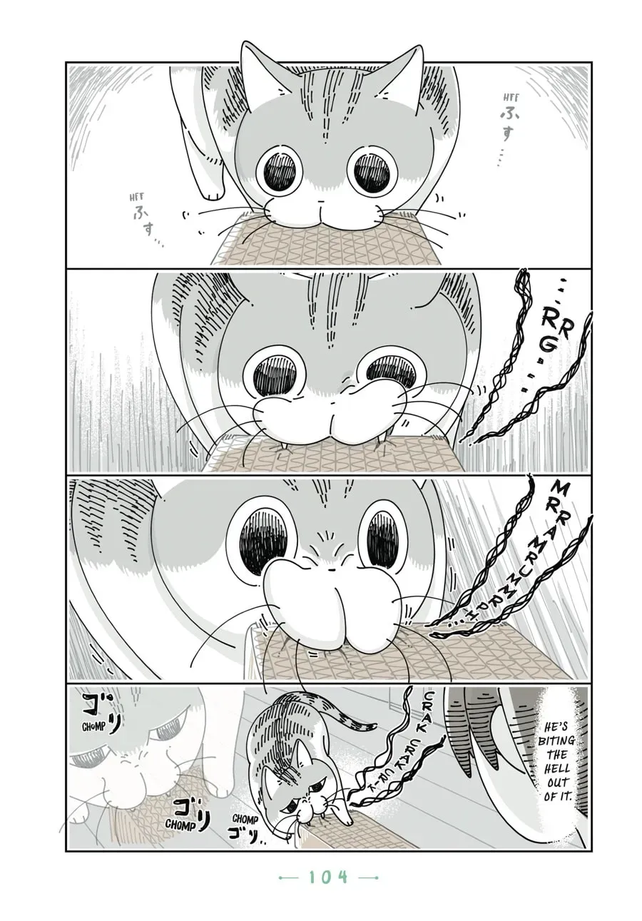 Read Nights With a Cat chapter 90 image 6 on Lezhin