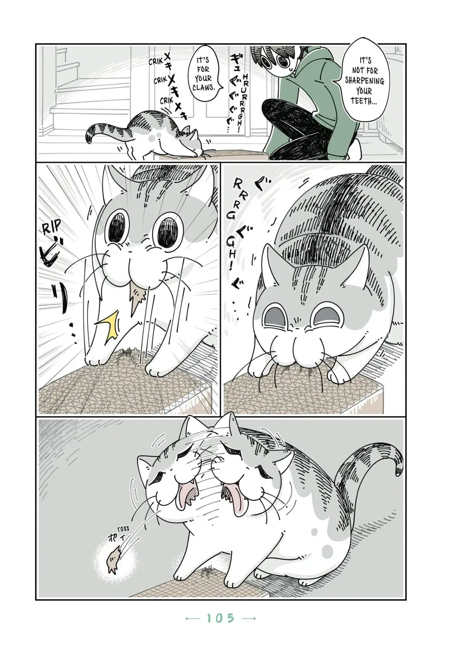 Read Nights With a Cat chapter 90 image 7 on Lezhin