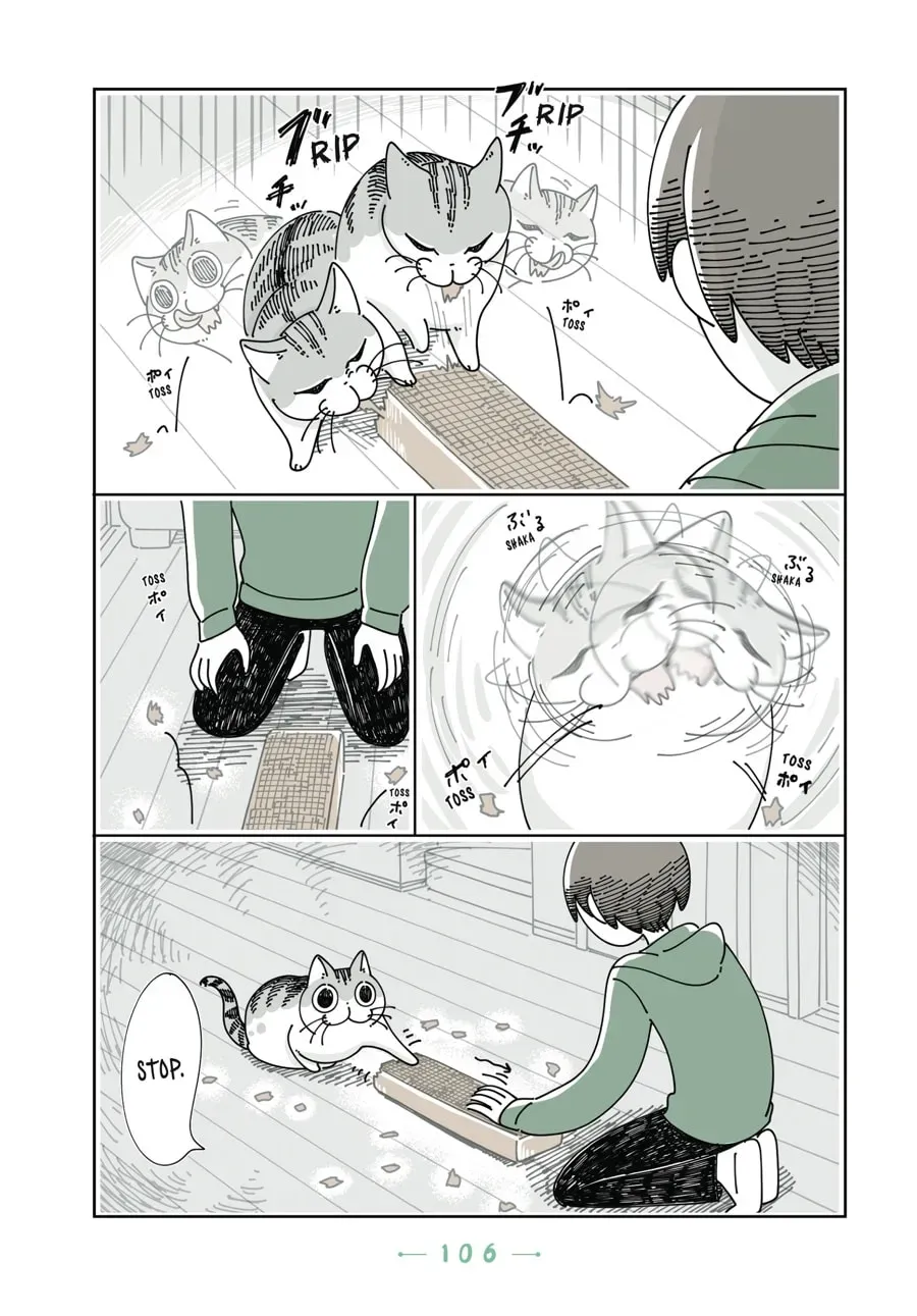 Read Nights With a Cat chapter 90 image 8 on Lezhin
