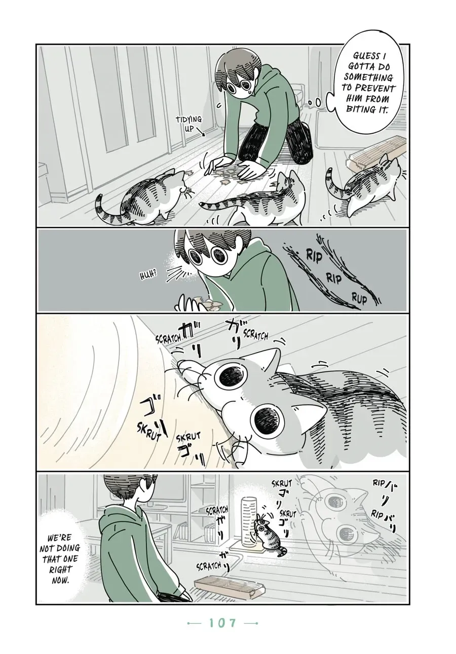 Read Nights With a Cat chapter 90 image 9 on Lezhin