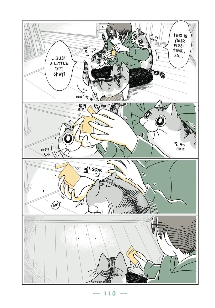 Read Nights With a Cat chapter 91 image 2 on Lezhin