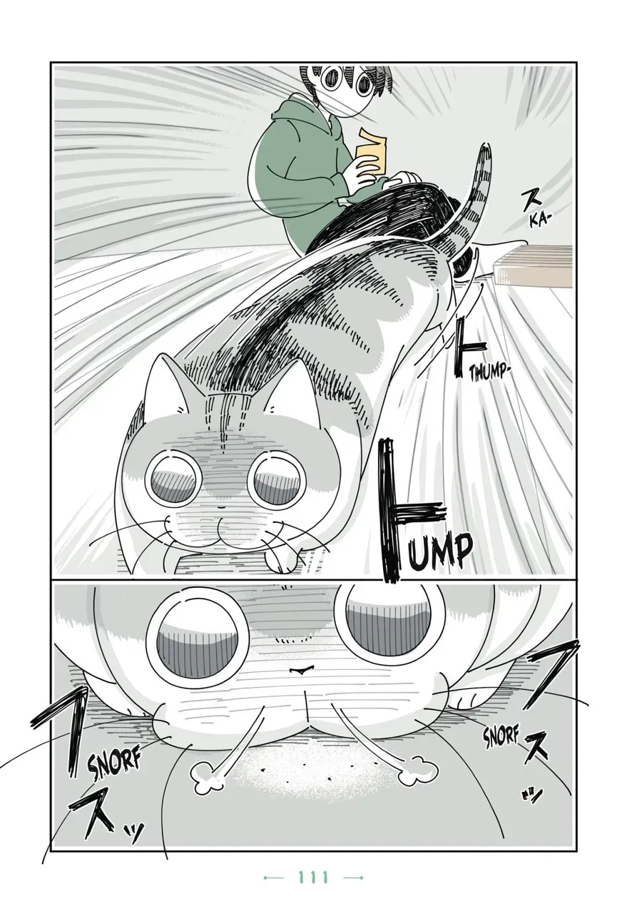 Read Nights With a Cat chapter 91 image 3 on Lezhin