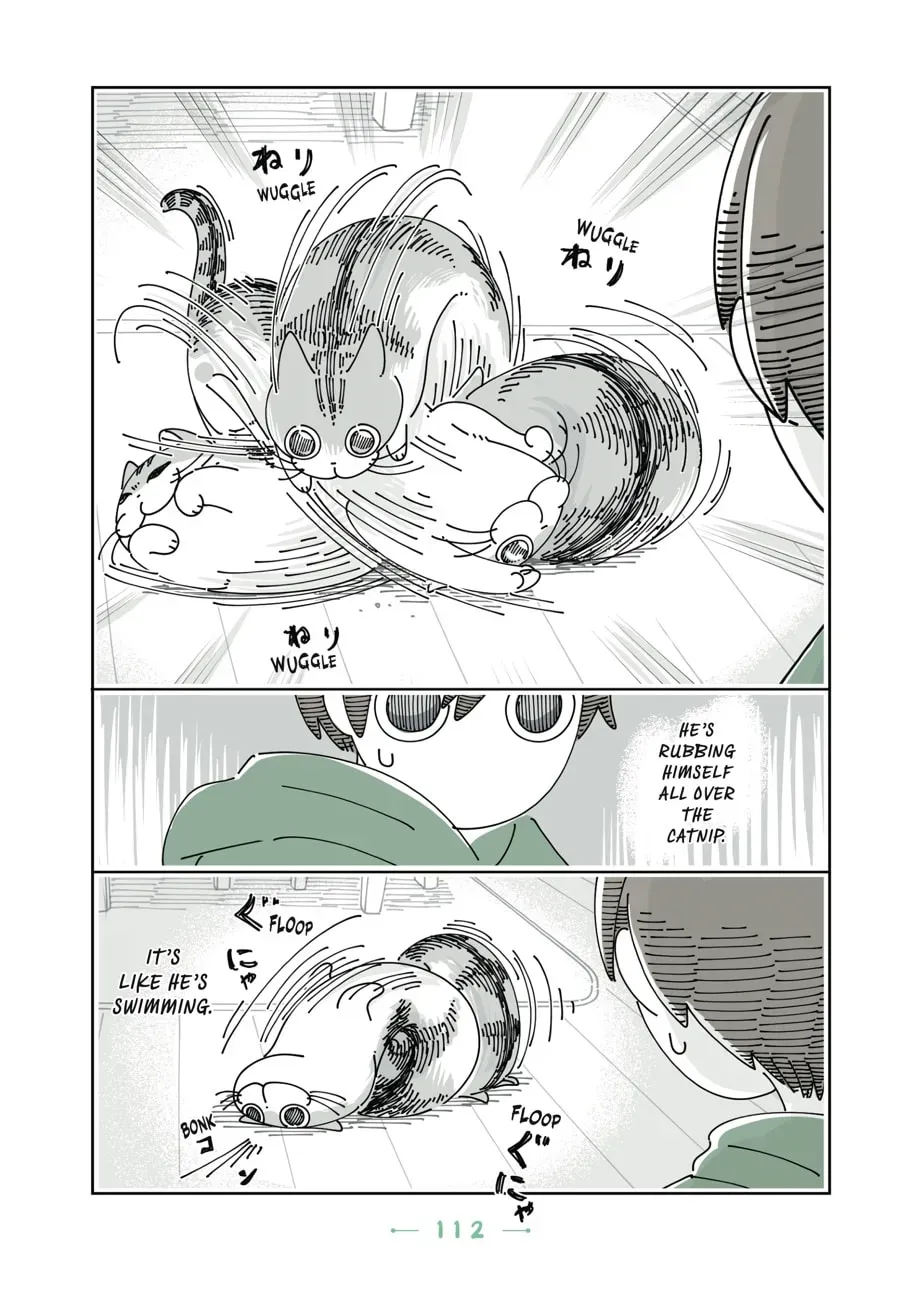 Read Nights With a Cat chapter 91 image 4 on Lezhin