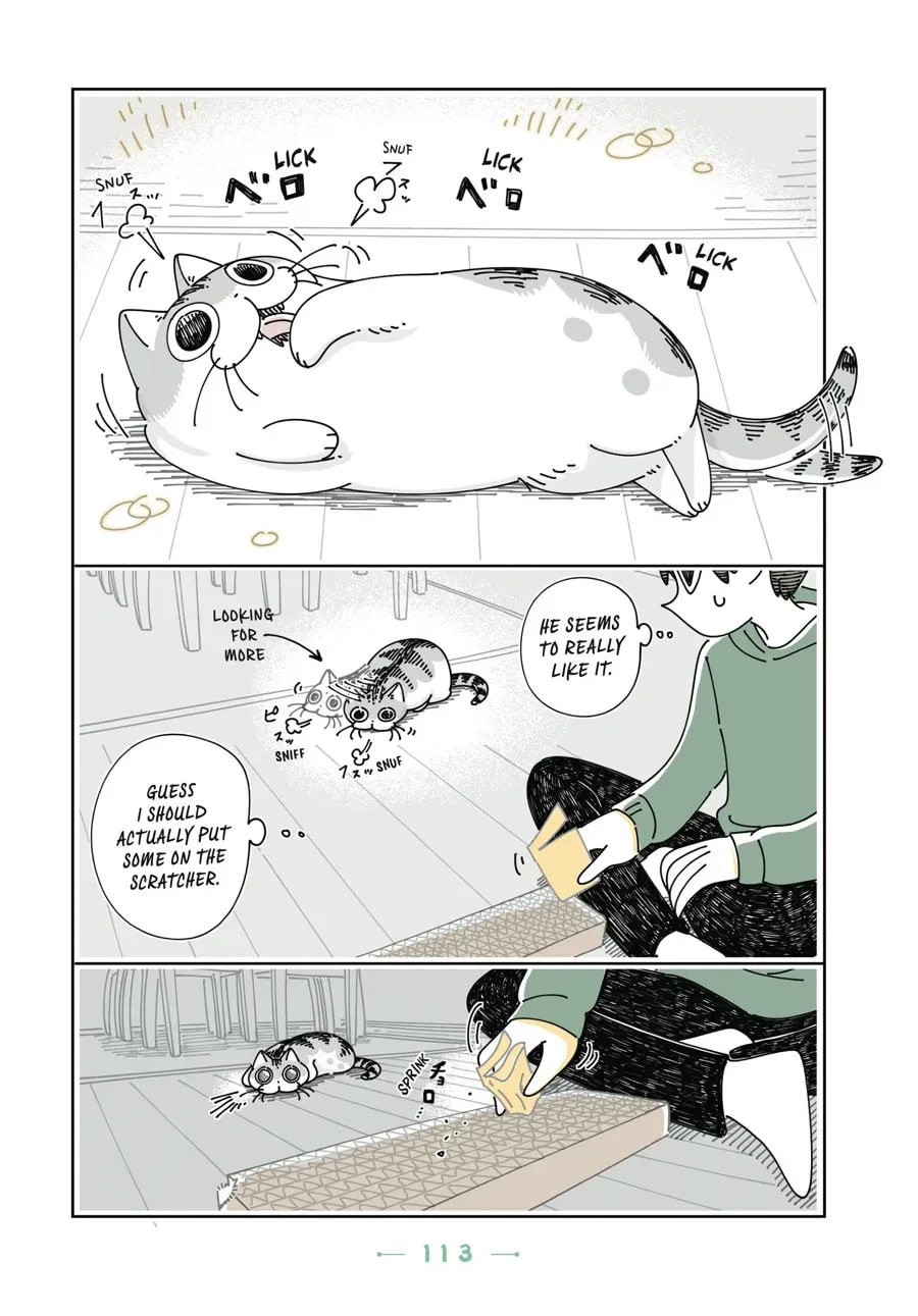 Read Nights With a Cat chapter 91 image 5 on Lezhin