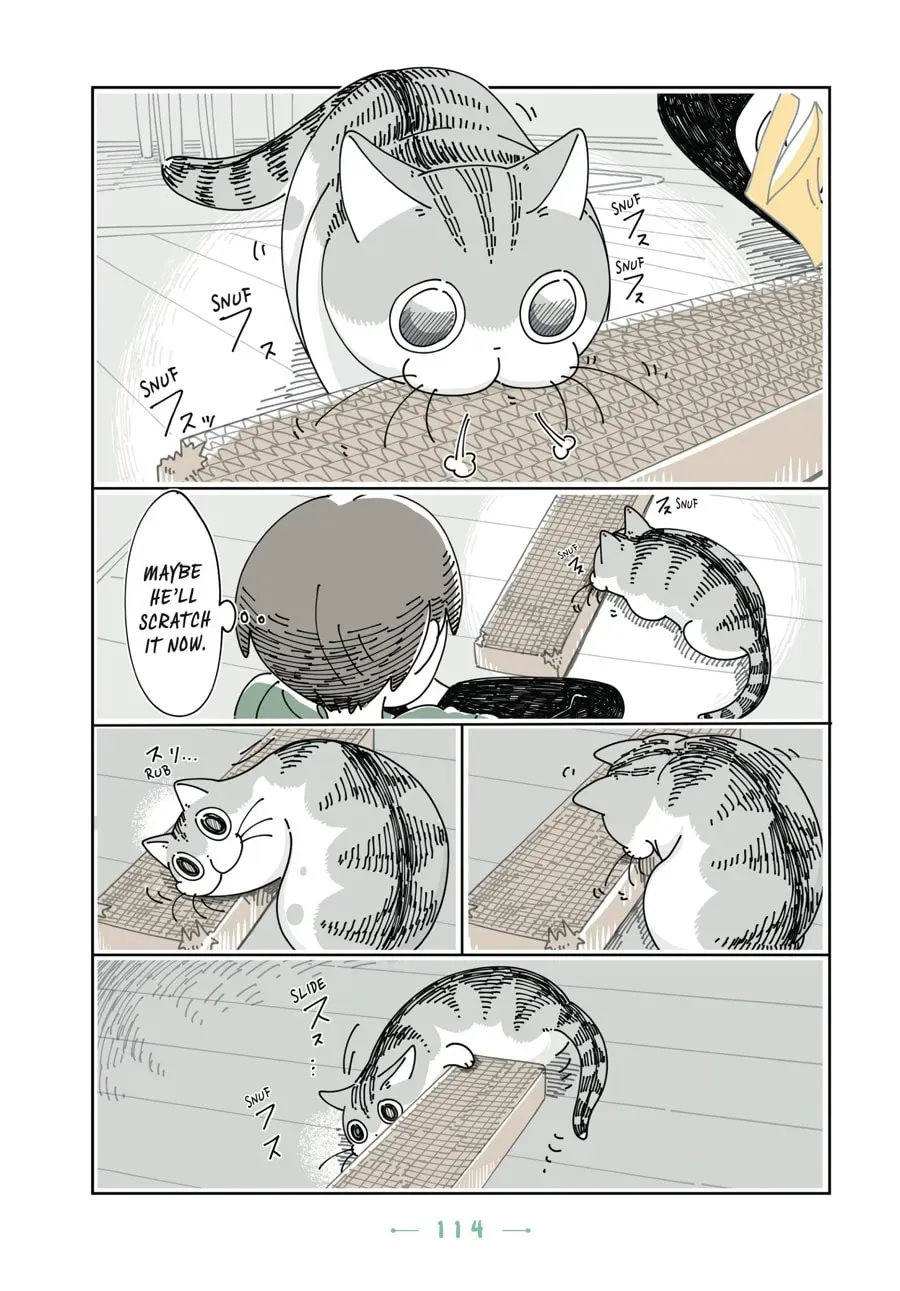 Read Nights With a Cat chapter 91 image 6 on Lezhin