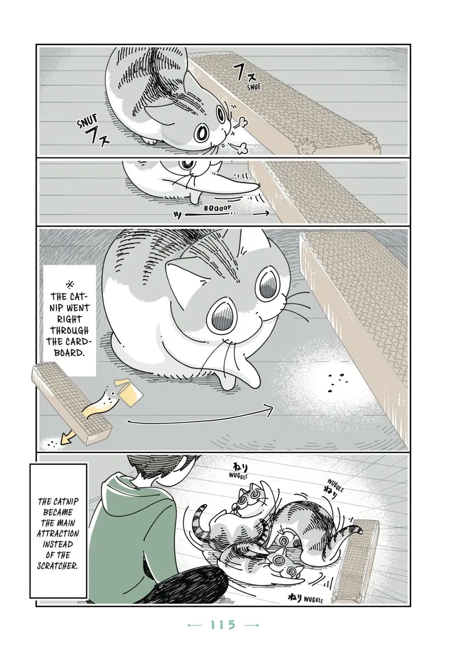 Read Nights With a Cat chapter 91 image 7 on Lezhin