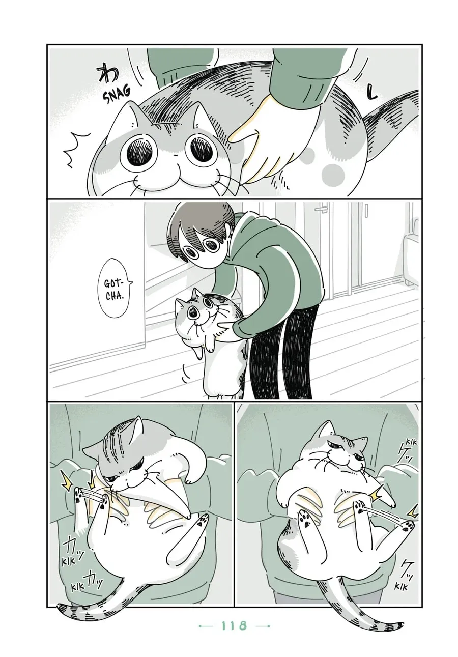 Read Nights With a Cat chapter 92 image 2 on Lezhin