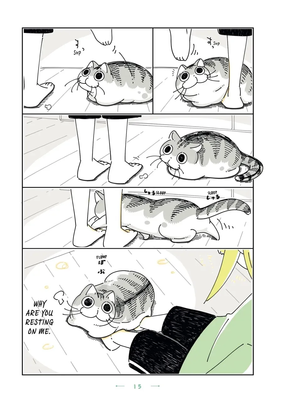 Read Nights With a Cat chapter 96 image 1 on Lezhin