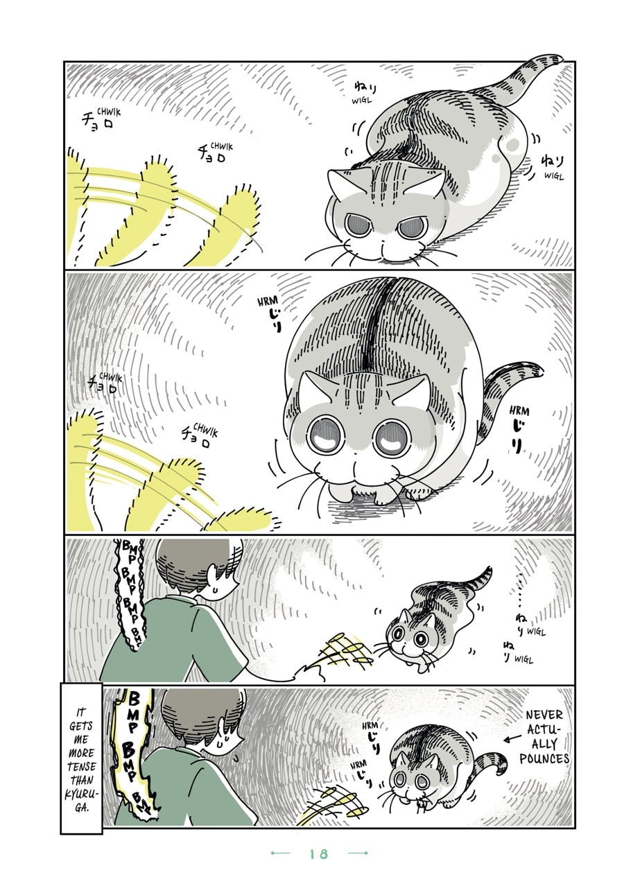 Read Nights With a Cat chapter 97 image 1 on Lezhin