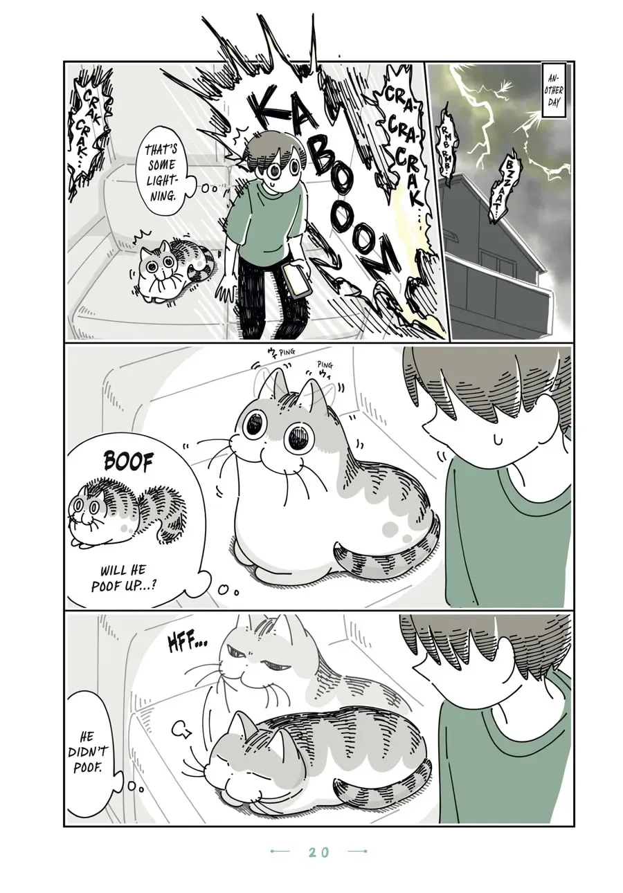 Read Nights With a Cat chapter 98 image 1 on Lezhin