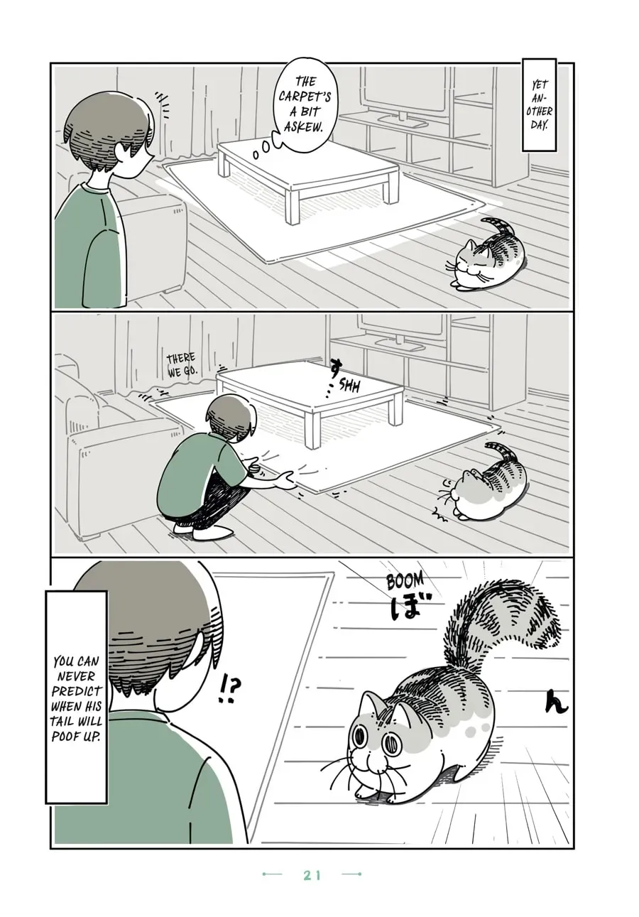 Read Nights With a Cat chapter 98 image 2 on Lezhin