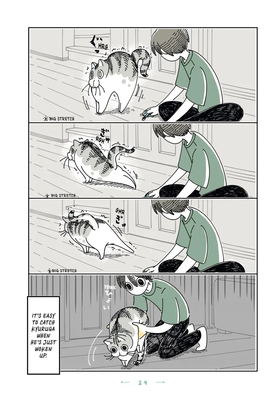 Read Nights With a Cat chapter 99 image 2 on Lezhin