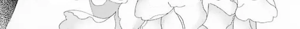 Read Ningyo no Kubi chapter 4 image 1 on Lezhin