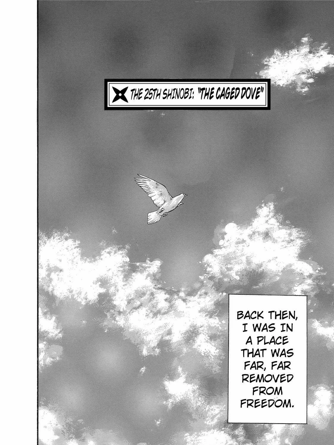 Read Ninja Papa chapter 25 image 6 on Lezhin