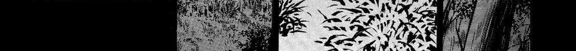 Read Ninja Papa chapter 30 image 1 on Lezhin