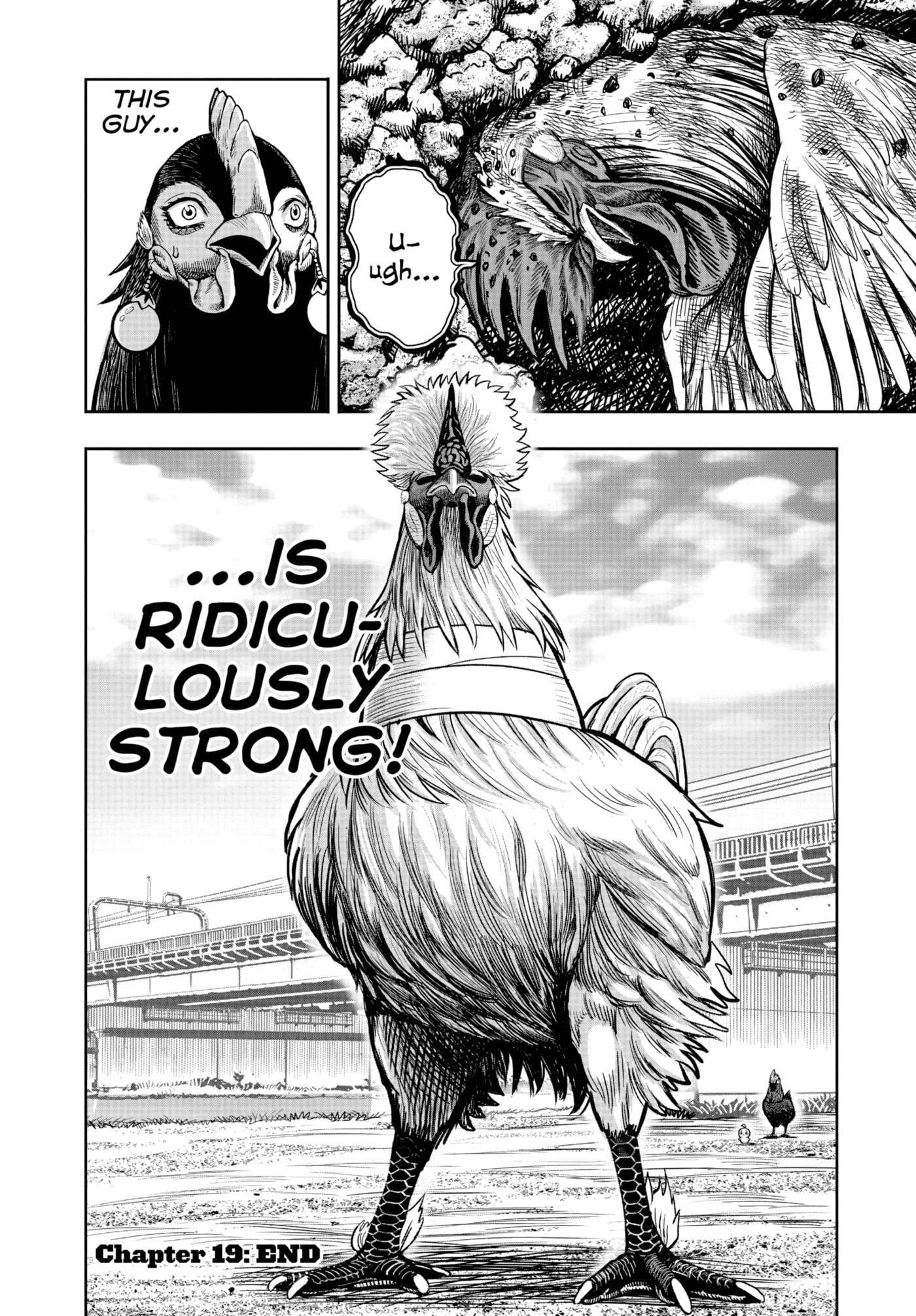 Read Niwatori Fighter chapter 19 image 38 on Lezhin