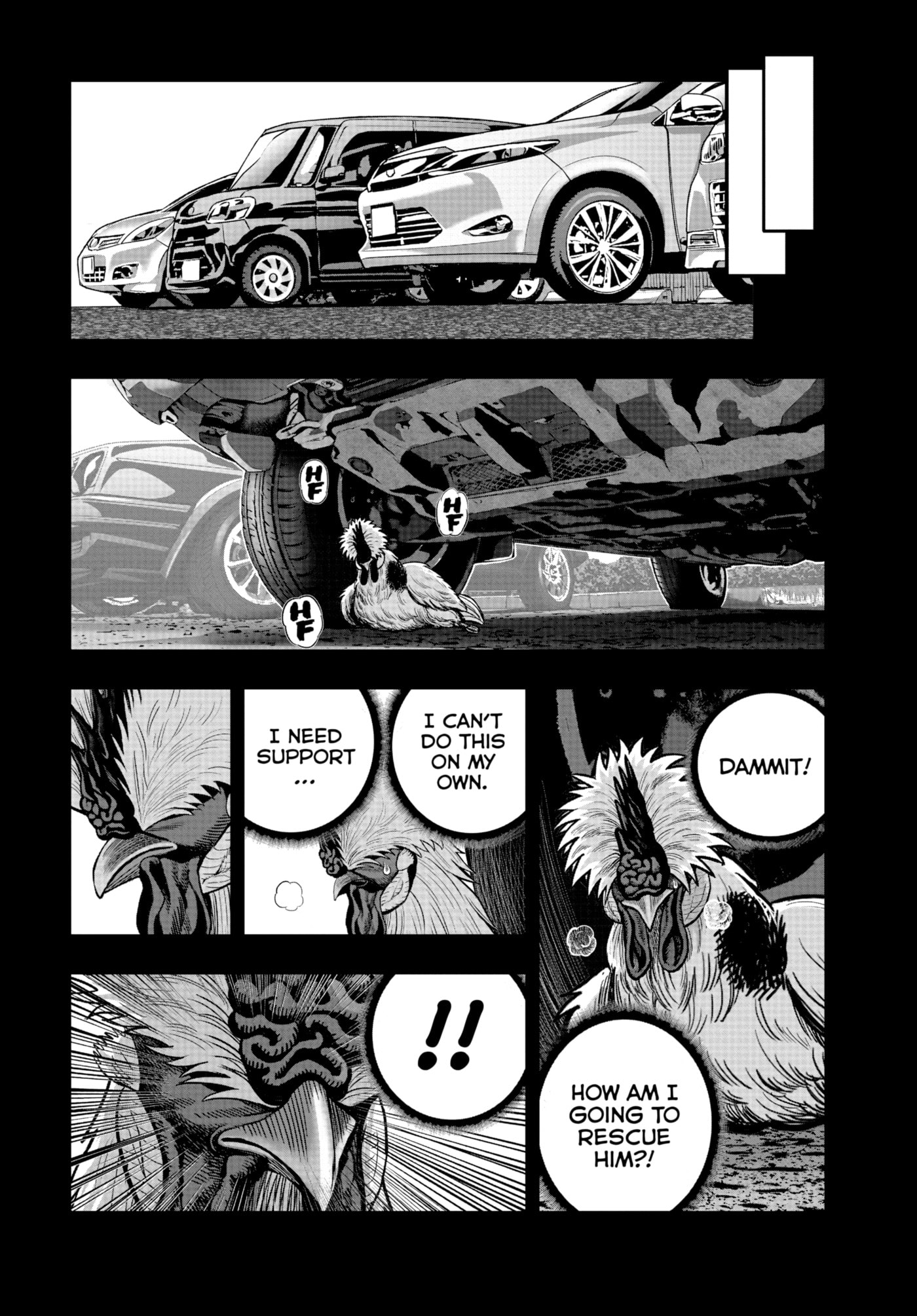 Read Niwatori Fighter chapter 20 image 41 on Lezhin