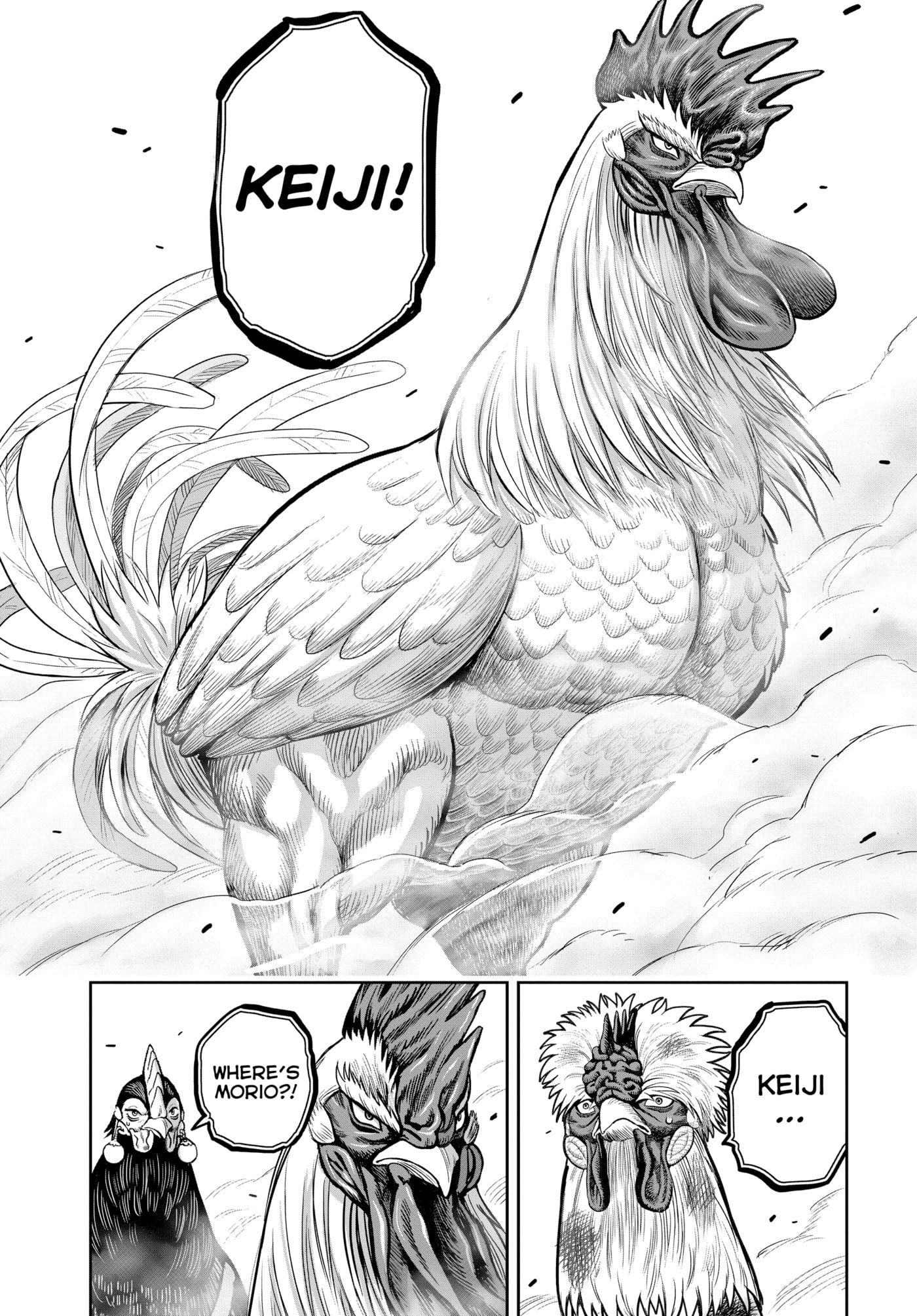 Read Niwatori Fighter chapter 24 image 19 on Lezhin
