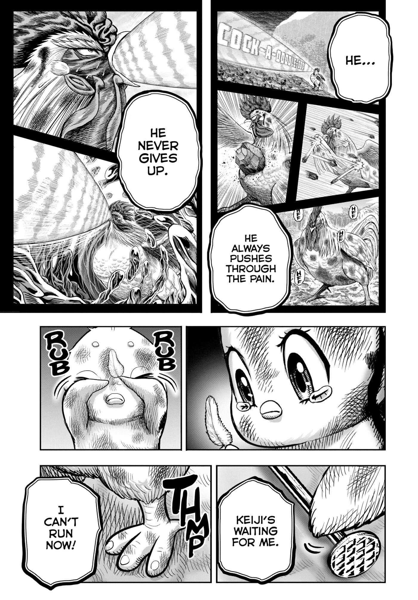 Read Niwatori Fighter chapter 24 image 42 on Lezhin