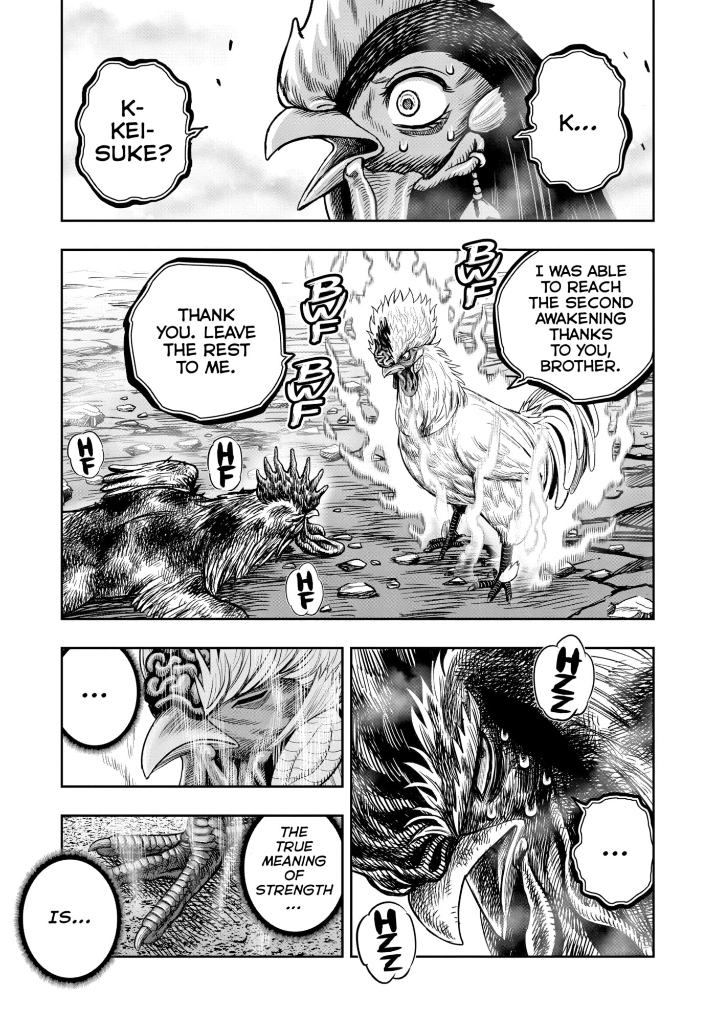Read Niwatori Fighter chapter 27 image 50 on Lezhin