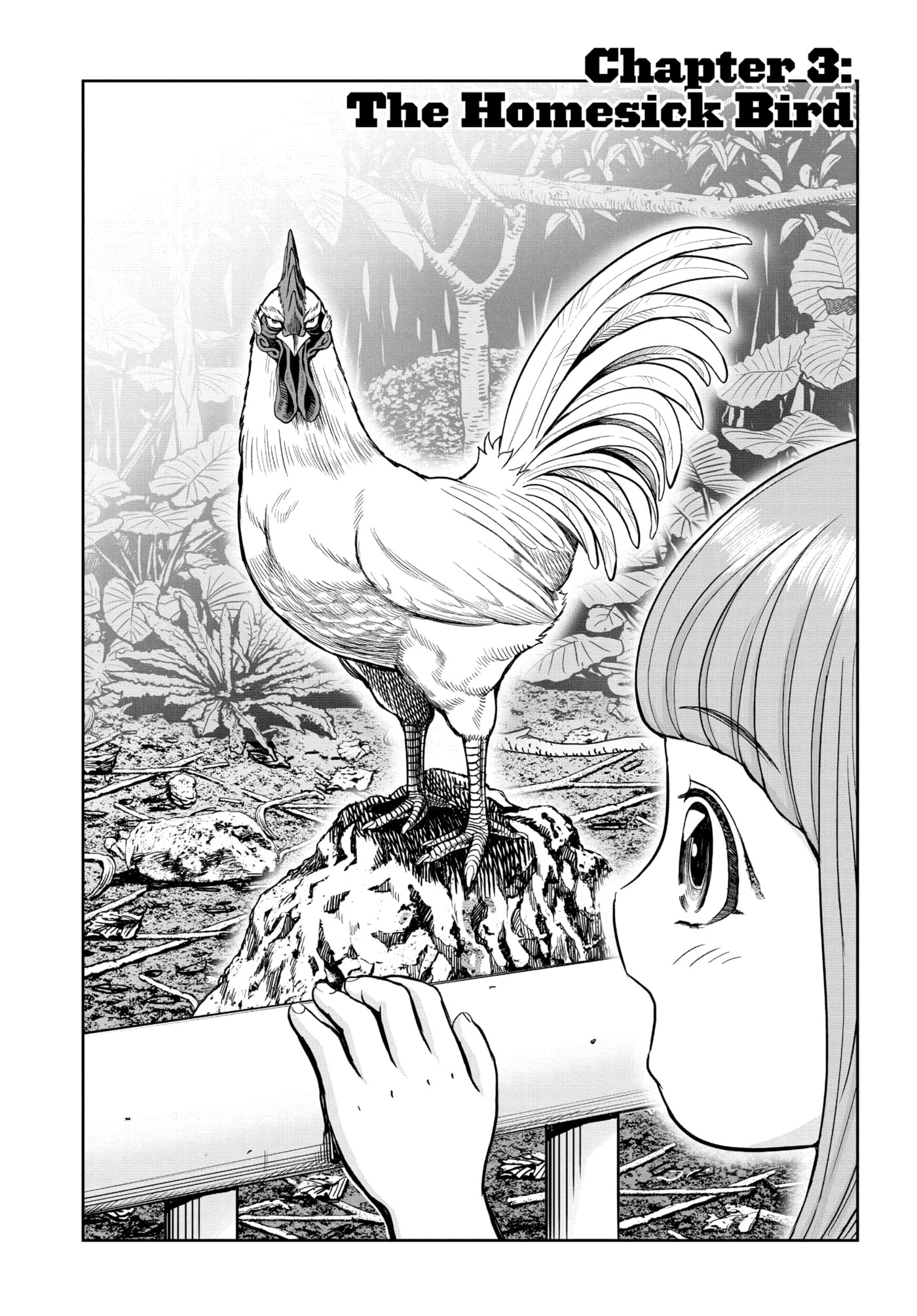 Read Niwatori Fighter chapter 3 image 1 on Lezhin