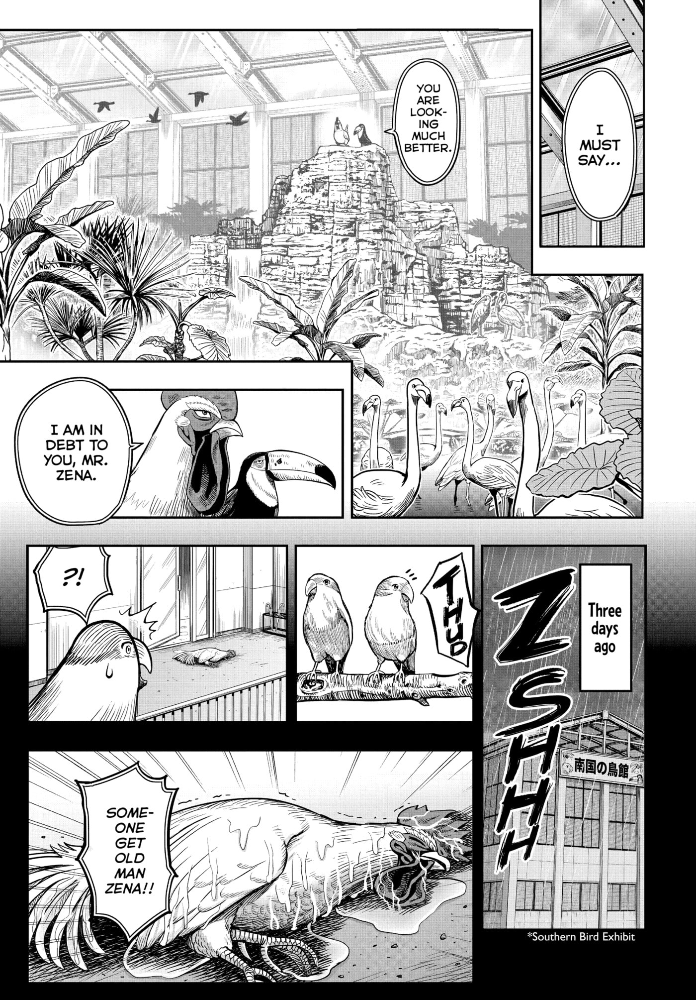 Read Niwatori Fighter chapter 3 image 8 on Lezhin