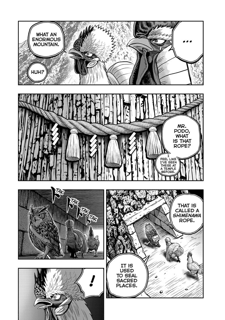 Read Niwatori Fighter chapter 46 image 15 on Lezhin