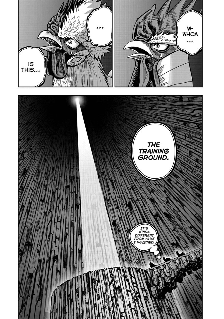 Read Niwatori Fighter chapter 46 image 17 on Lezhin