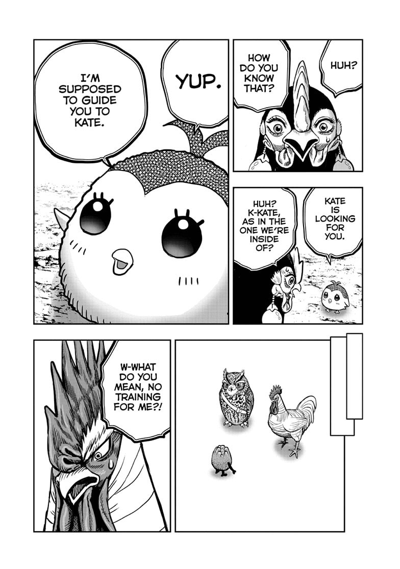 Read Niwatori Fighter chapter 47 image 15 on Lezhin