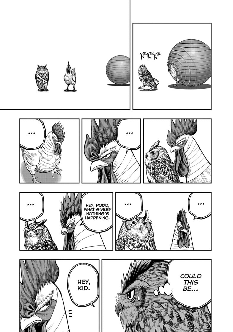 Read Niwatori Fighter chapter 47 image 9 on Lezhin