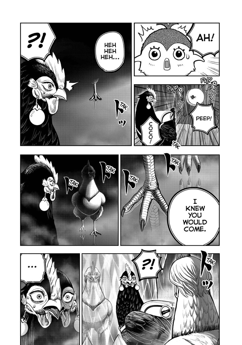 Read Niwatori Fighter chapter 48 image 17 on Lezhin