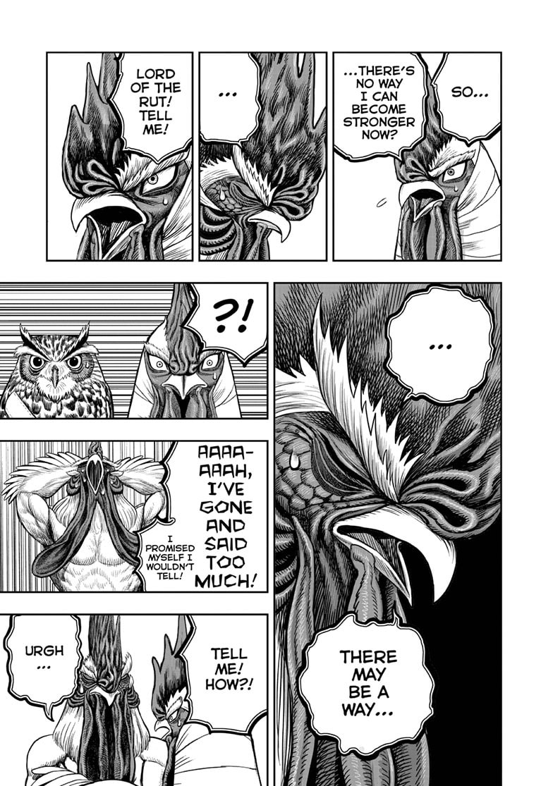 Read Niwatori Fighter chapter 48 image 21 on Lezhin