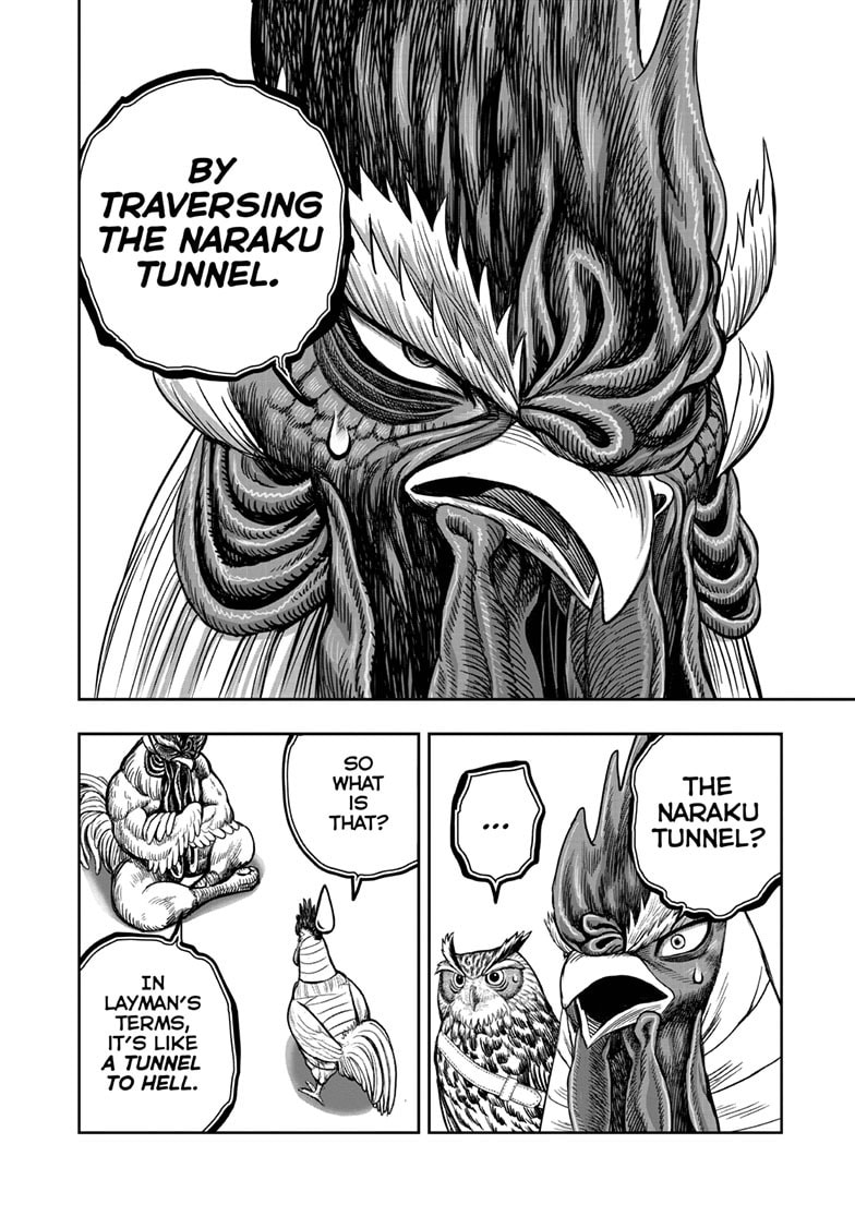 Read Niwatori Fighter chapter 48 image 22 on Lezhin