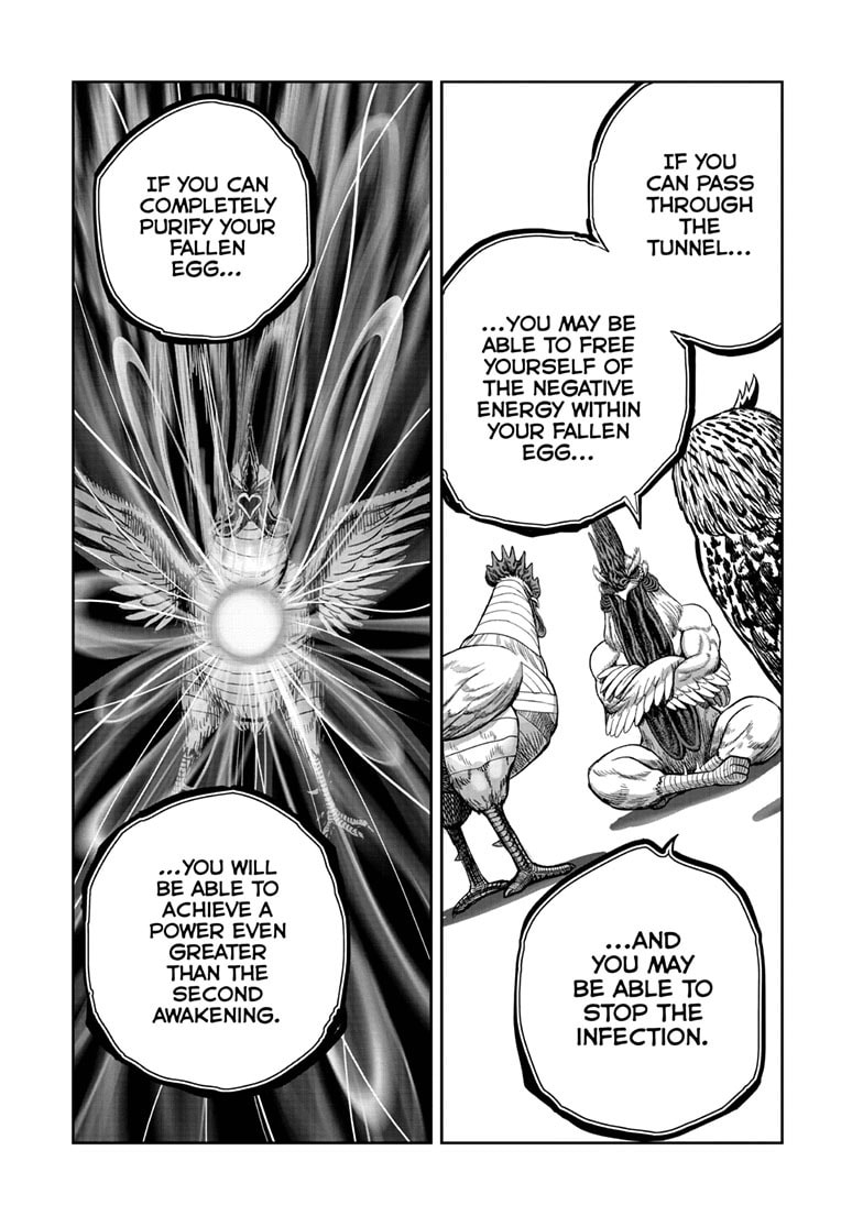 Read Niwatori Fighter chapter 48 image 23 on Lezhin