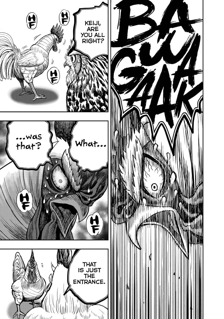 Read Niwatori Fighter chapter 48 image 27 on Lezhin