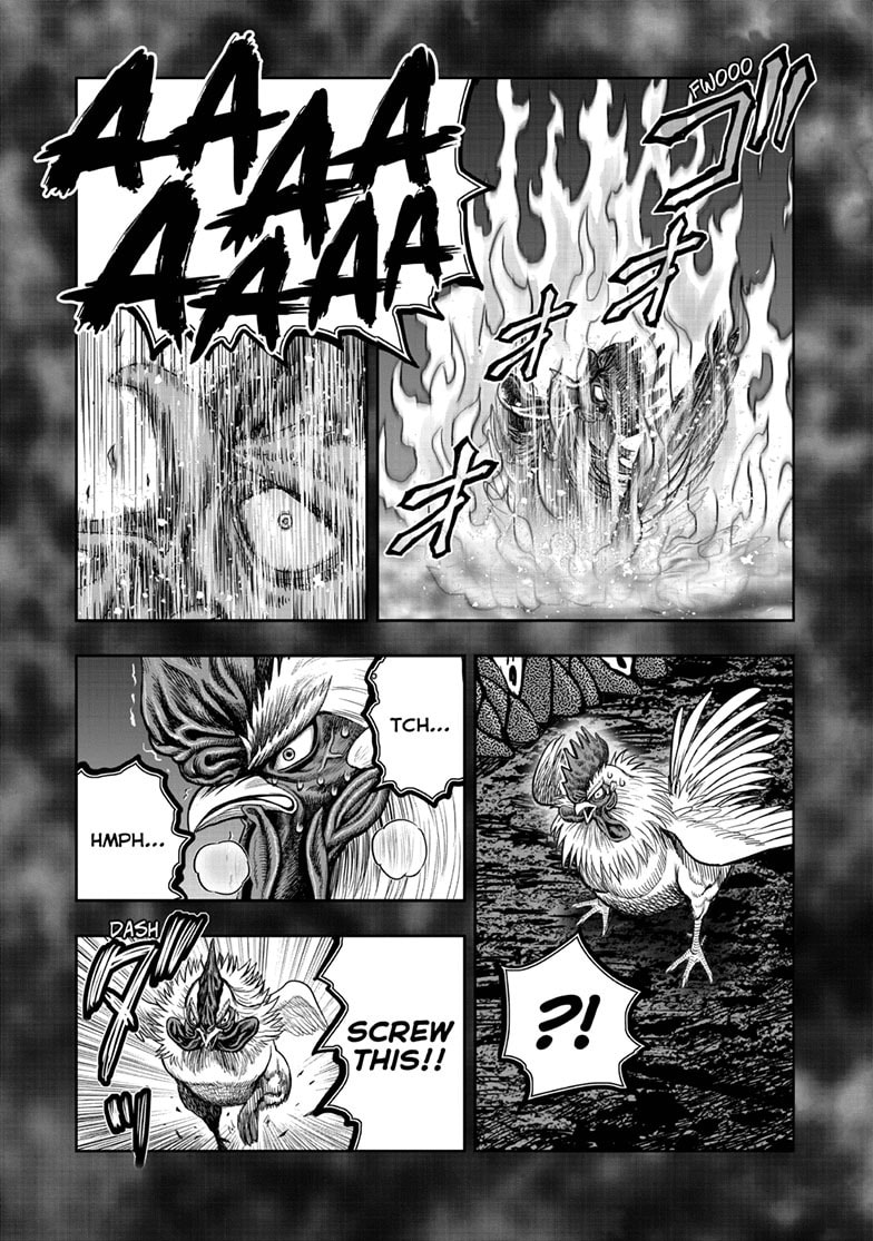 Read Niwatori Fighter chapter 49 image 35 on Lezhin