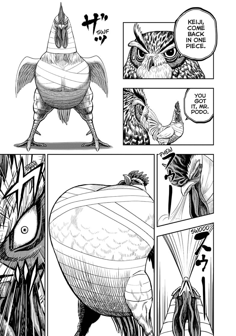 Read Niwatori Fighter chapter 49 image 5 on Lezhin
