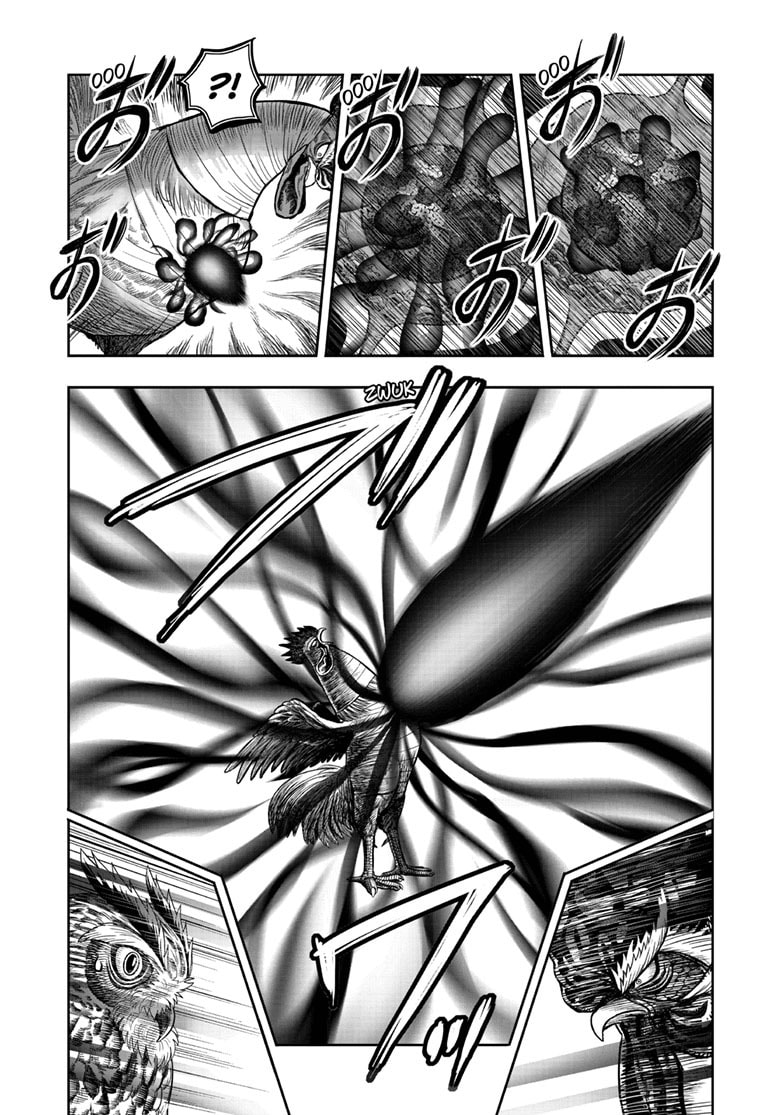Read Niwatori Fighter chapter 49 image 7 on Lezhin