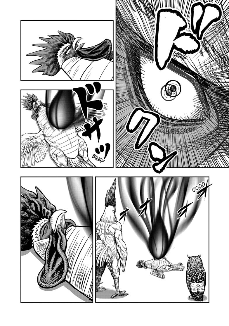 Read Niwatori Fighter chapter 49 image 8 on Lezhin