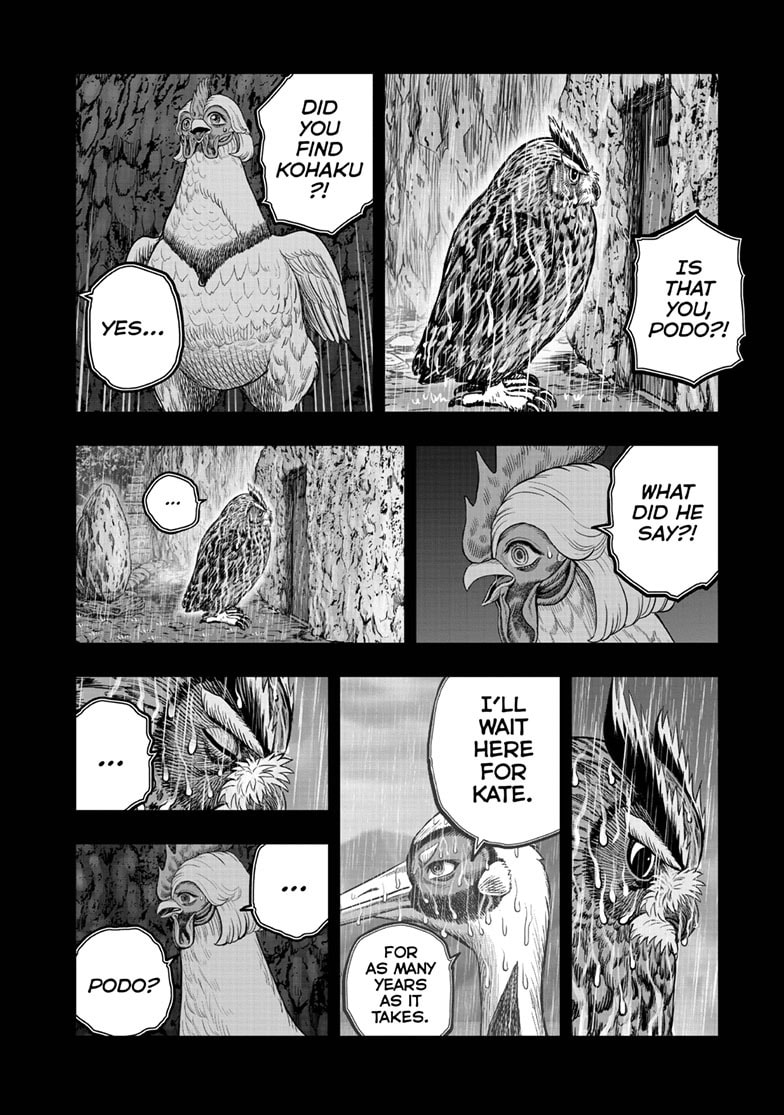 Read Niwatori Fighter chapter 53 image 12 on Lezhin